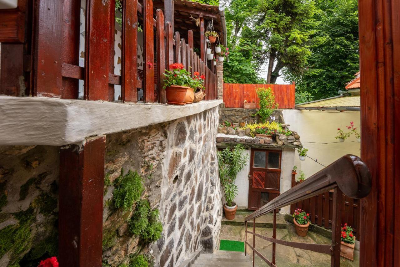 Gloria Apartments Sighişoara Esterno foto