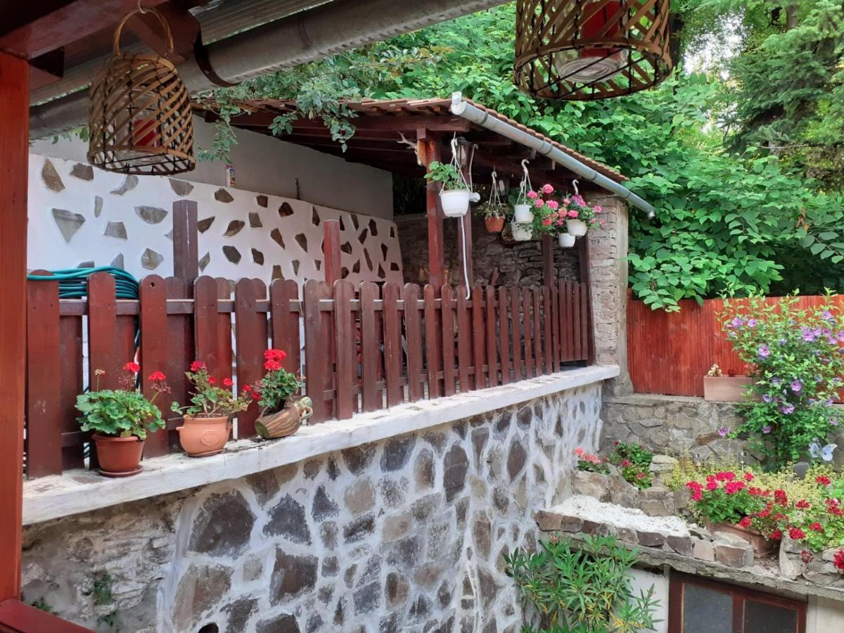 Gloria Apartments Sighişoara Esterno foto